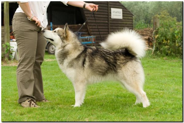 IMG_6788.JPG