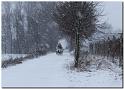IMG_4778